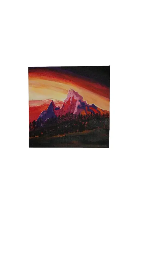 Toile coton 27.5x27.5 (avec cadre 30.5x30.5) - Les grands espaces
