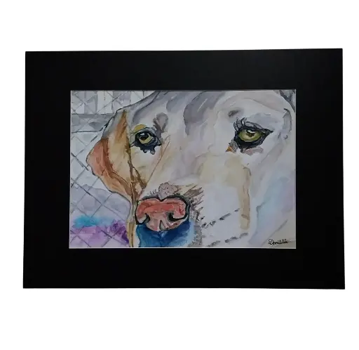 Aquarelle 30x40 - Labrador 