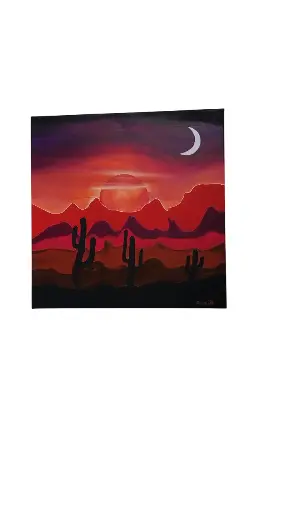 Toile coton 40x40 - Far West